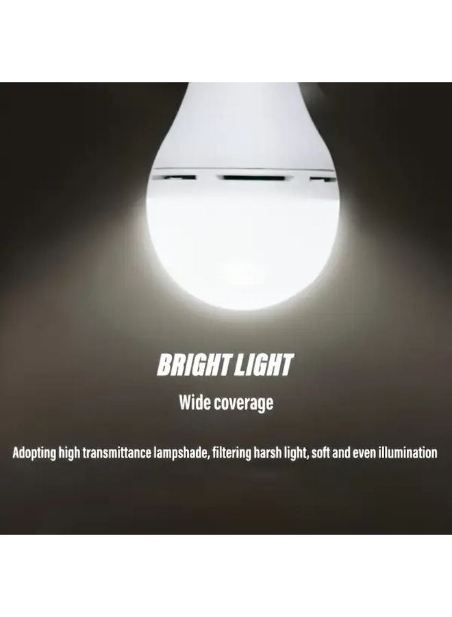 4 قطع مصابيح LED تعمل بالطاقة الشمسية قابلة لإعادة الشحن عبر USB، إضاءة طوارئ محمولة مع خطاف للفيضان في الحدائق والتخييم - Image 3